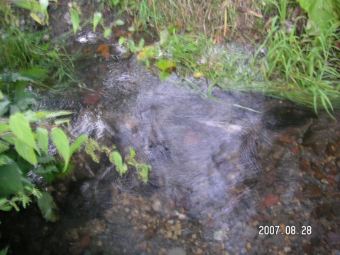 s_PICT0379.jpg